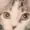 Fruitcool's icon