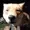 fox-thief's icon