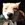fox-thief