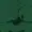 FROK-IS-CONFUSED's icon