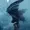 DownIntoDarkness's icon