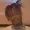 GODS42069's icon