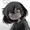 1TheLetterE1's icon