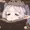 XMINDKUQ's icon