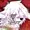 Barkura's icon