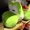 Burnt-Potatoes's icon
