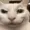 hisss1's icon