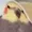 vodol2z's icon