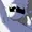 Stuhh's icon