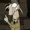 scoutsterr's icon