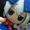 RaiderMoe16's icon