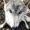 wolfarchives's icon