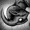 PrettyCowboy's icon