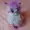 Blingblingbread's icon