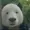 A-goober's icon