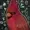 B-RedBird's icon