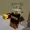 EpicSw4gGuy's icon