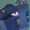 S-b0t's icon