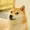 Mishaapov45's icon