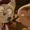 Yourfriendbot's icon