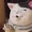 sighonasunday's icon
