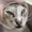 ermACTUALLY226's icon