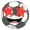 sigmaguylol's icon