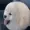 JustBeenVoxelized's icon