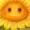 swagmanguypal's icon