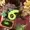 aliencharmz's icon