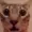 SuperAlexxComix's icon