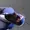 idkman1991's icon