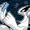 ddragon009's icon