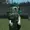 BloomGodking64's icon