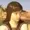 RedPepperPilledReimu's icon