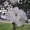 Kyun01's icon
