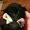 Coc0b4t's icon