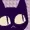 lamb-dev's icon