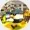 mishamal71's icon