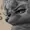 ToastyBalony's icon