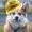 TheCorgiEngi's icon