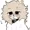 darling-evrin's icon