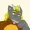 NoelNotNolan's icon
