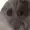 SkittelMakesStuff's icon