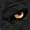 ISeDWolf's icon