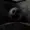 TRVSTVERSE's icon