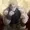 Misteryman10's icon