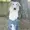 vacabomba's icon