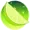 LimeRickee's icon