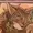 CoyoteTales's icon